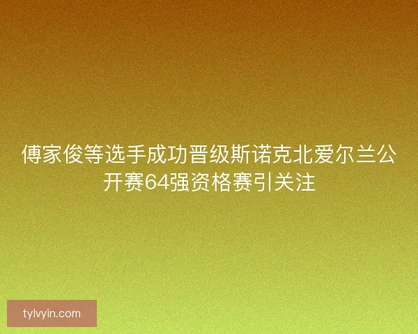 傅家俊等选手成功晋级斯诺克北爱尔兰公开赛64强资格赛引关注
